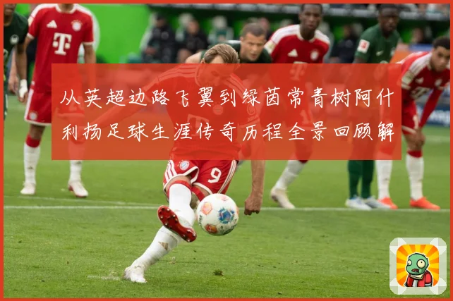 从英超边路飞翼到绿茵常青树阿什利扬足球生涯传奇历程全景回顾解析-深度解析