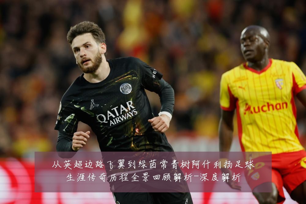 从英超边路飞翼到绿茵常青树阿什利扬足球生涯传奇历程全景回顾解析-深度解析
